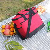 Geanta Termoizolanta pentru Picnic sau Plaja capacitate 16l Rosie